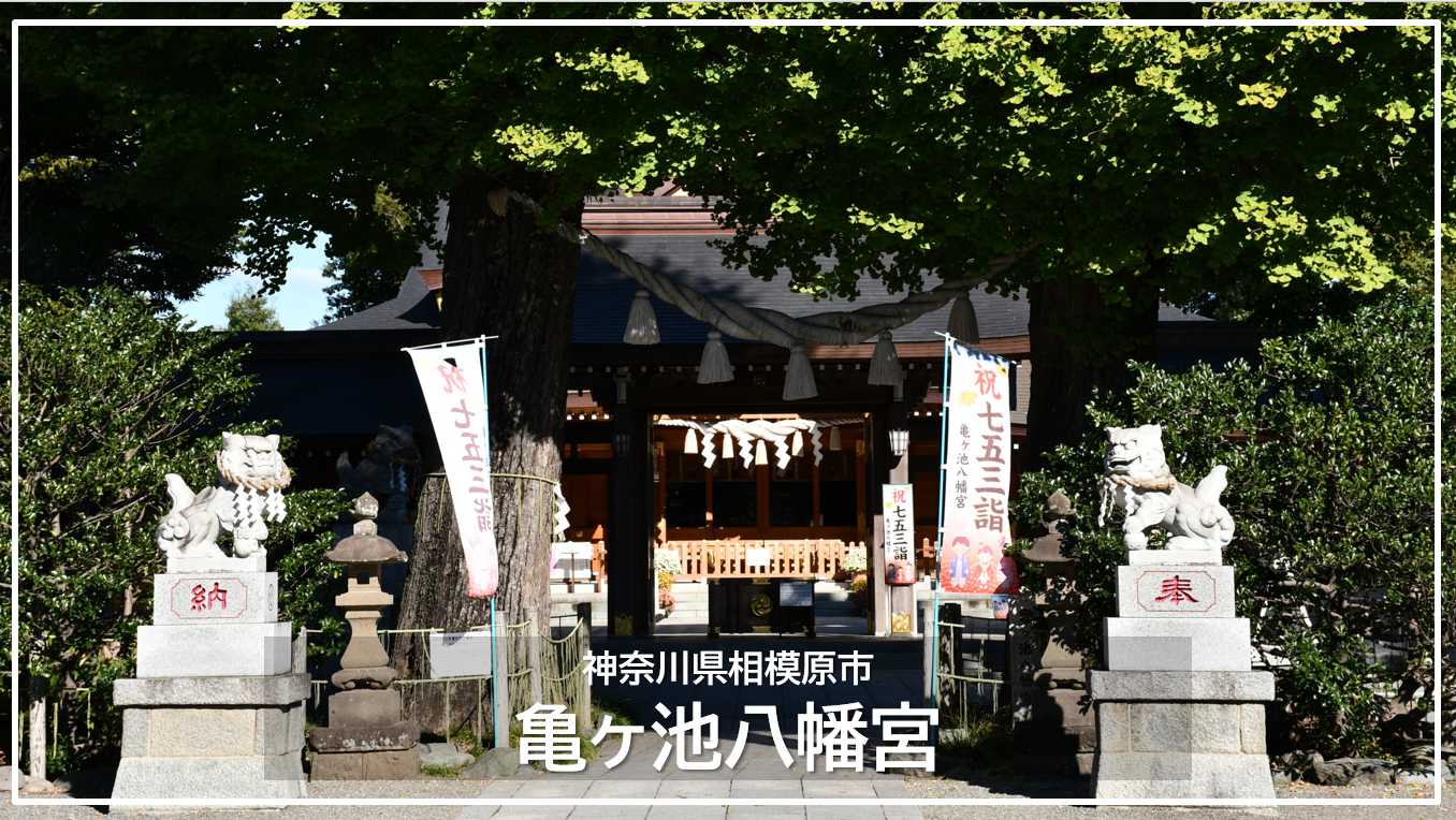相模原氷川神社、亀ケ池八幡宮御朱印計10点 相模原氷川神社、亀ケ池八幡宮御朱印計10点の通販 by トトメス's